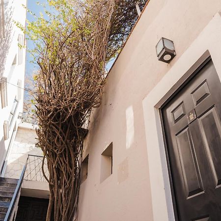 Hotel Maria Bonita Σαν Μιγκέλ ντε Αγιέντε Εξωτερικό φωτογραφία