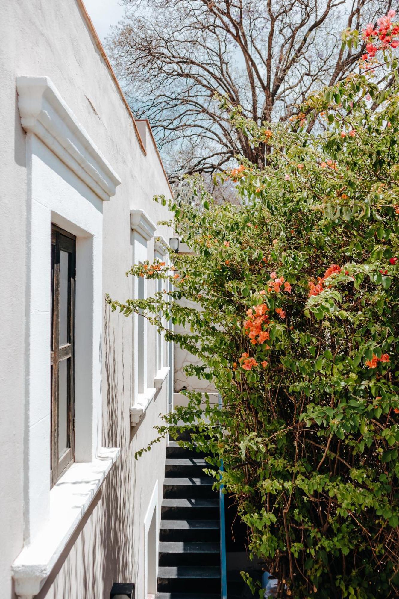 Hotel Maria Bonita Σαν Μιγκέλ ντε Αγιέντε Εξωτερικό φωτογραφία